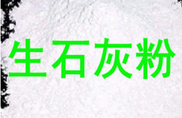 生石灰粉 生石灰粉